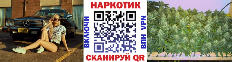 Как найти наркотики Аркадак Гашиш  Alpha-PVP  Меф мяу мяу  COCAIN 