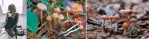 гашиш Алексеевка